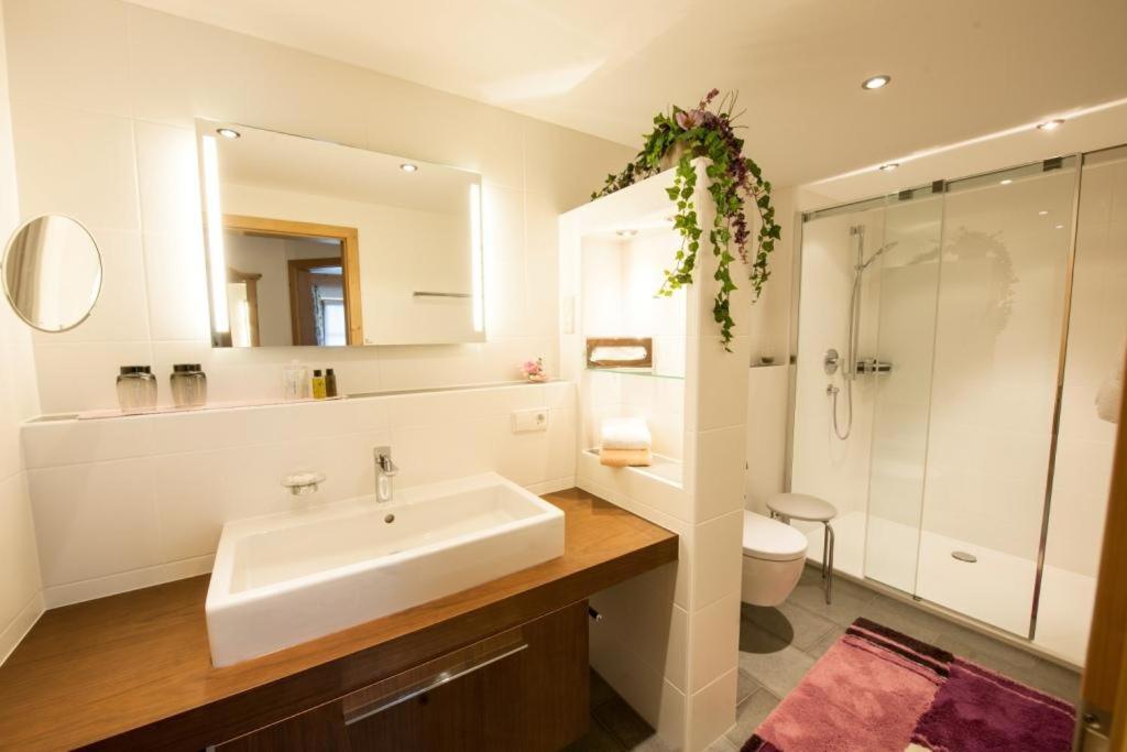 Haus Schmiederer Apartment *
